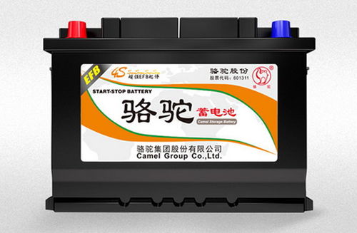 骆驼汽车电瓶排行多少
